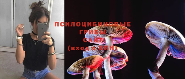 кристаллы Белокуриха